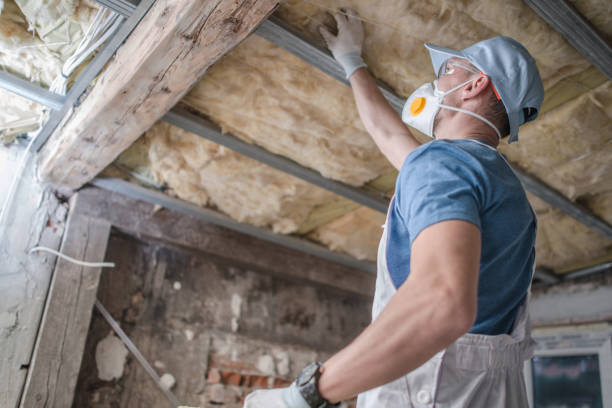 Best Cellulose Insulation  in Charlotte Hall, MD