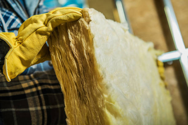Professional Insulation Contractor in Charlotte Hall, MD