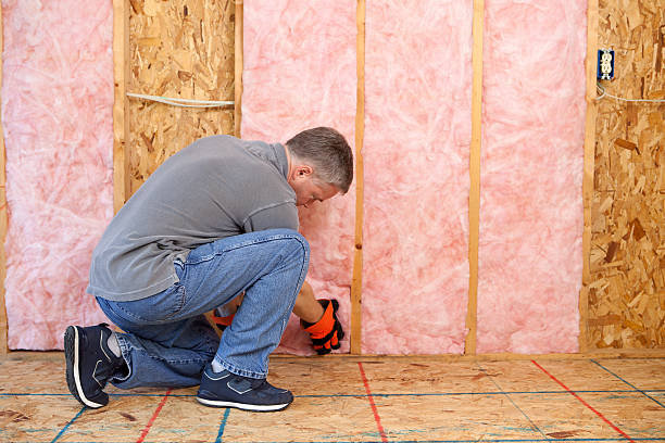 Best Local Insulation Services  in Charlotte Hall, MD